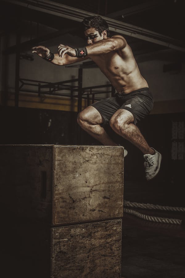 plyometric box jump